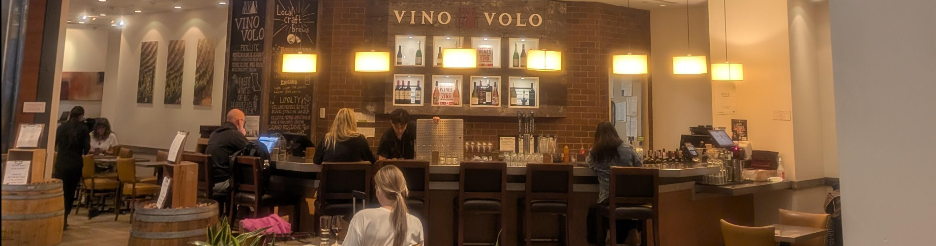 Vino Volo (Domestic B, Gate B17)