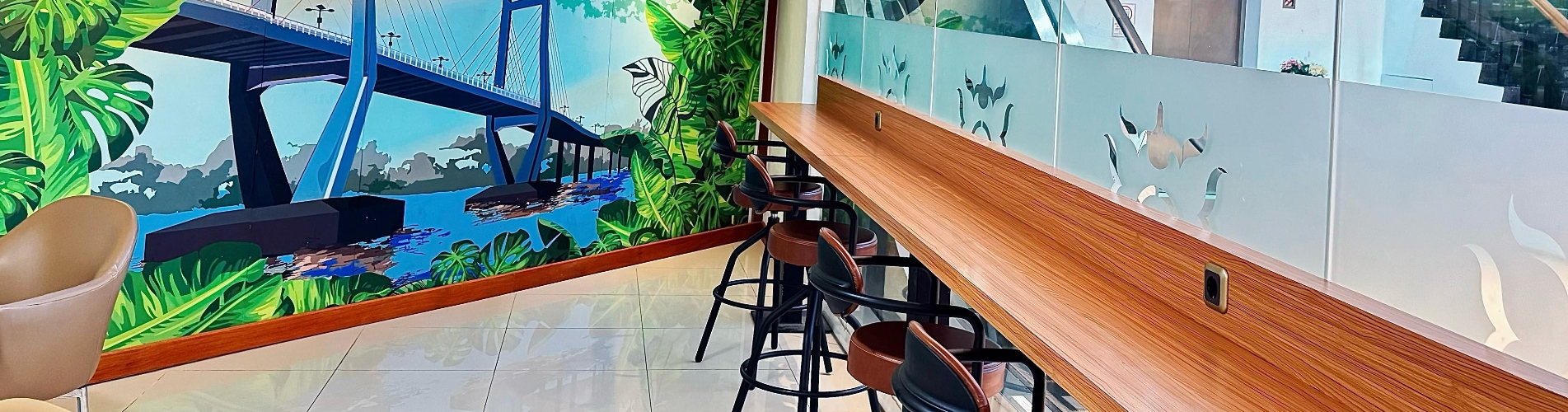 Concordia Lounge (国内出发)