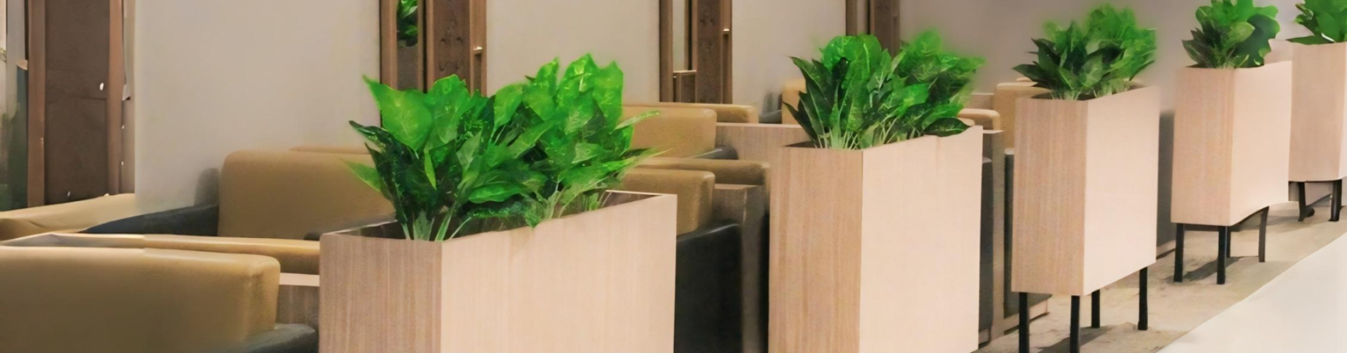 Concordia Lounge (Domestic Departures)