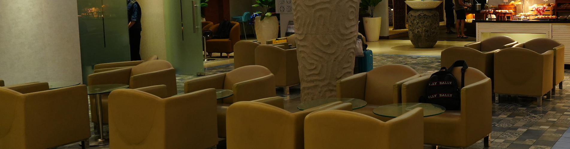 Concordia Lounge (国内出发)