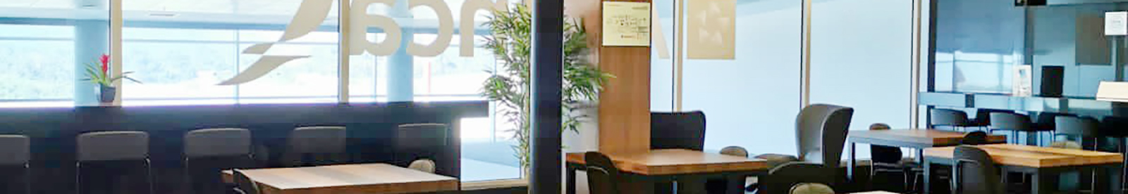 Avianca Lounge Bucaramanga (Domestic Terminal)