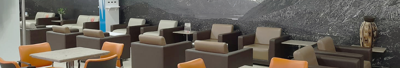 アビアンカ ラウンジ カリ (国内線出発)