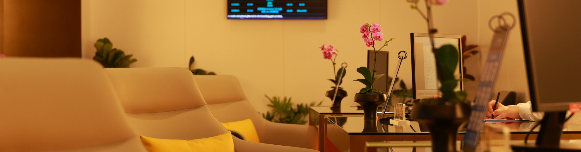 China Southern VIP Lounge (Domestic Departures, Terminal 2)