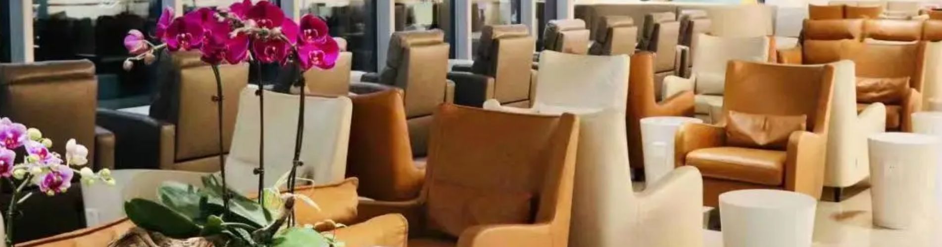 南航明珠貴賓休息室（國內離境大堂T2航站樓）