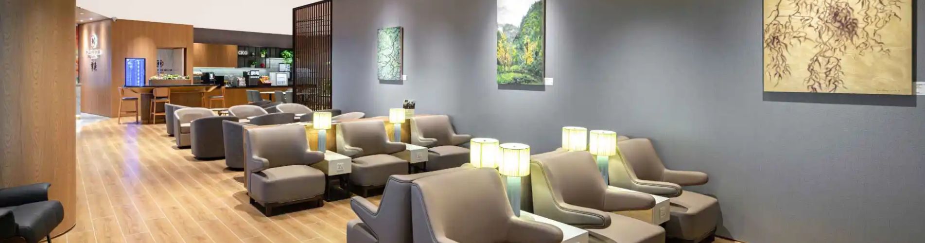 環亞貴賓室（E指廊, 國內離境大堂, T3A航廈）