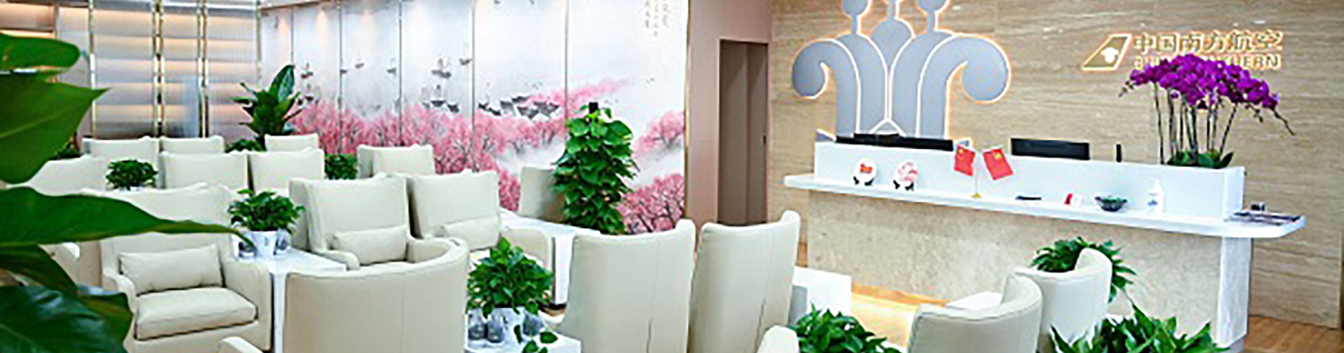 China Southern First/Business Class Lounge (Domestic Departures, Terminal 2)