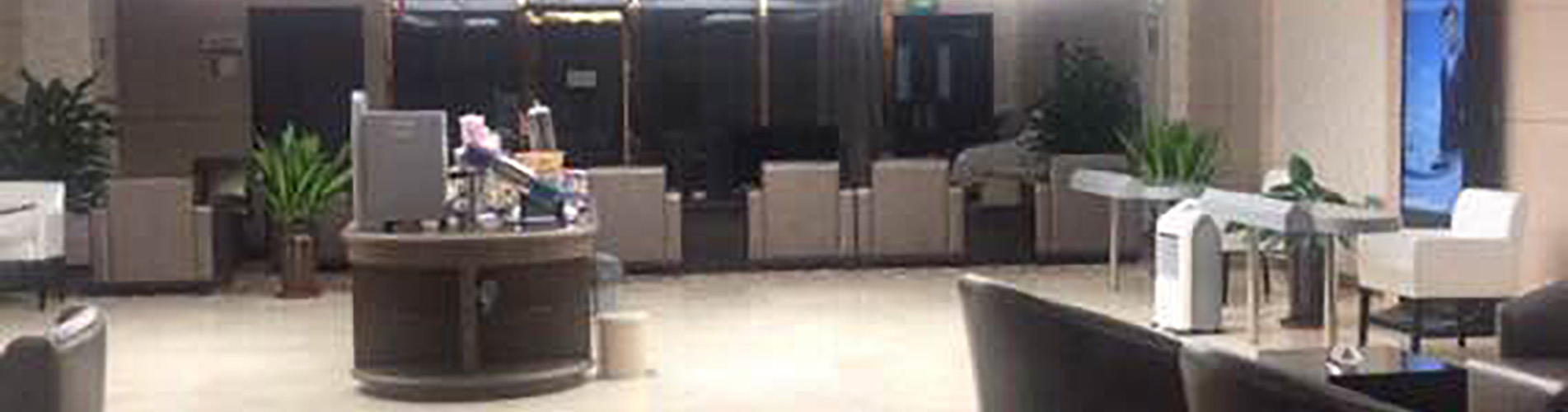 China Southern Gold/Silver/Elite Plus Lounge (International Departures, Terminal 1)