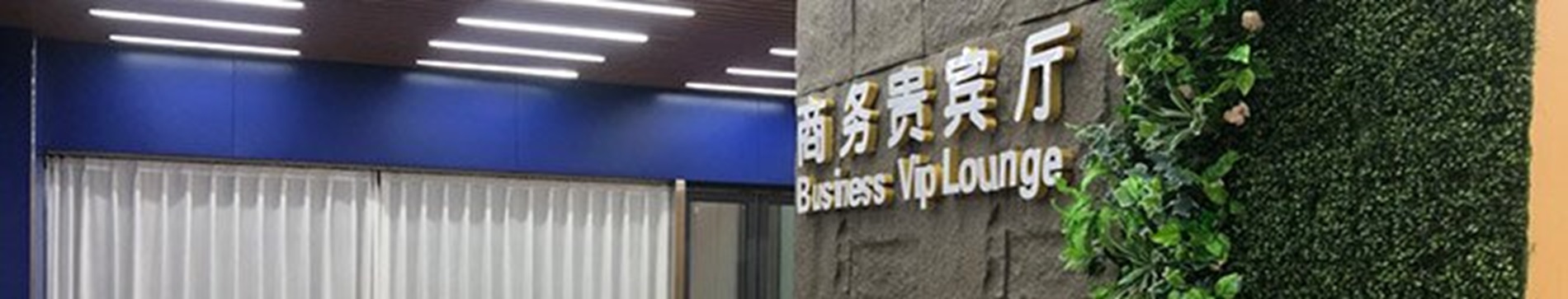 Joyful Journey Railway VIP Lounge (Embarques domésticos)