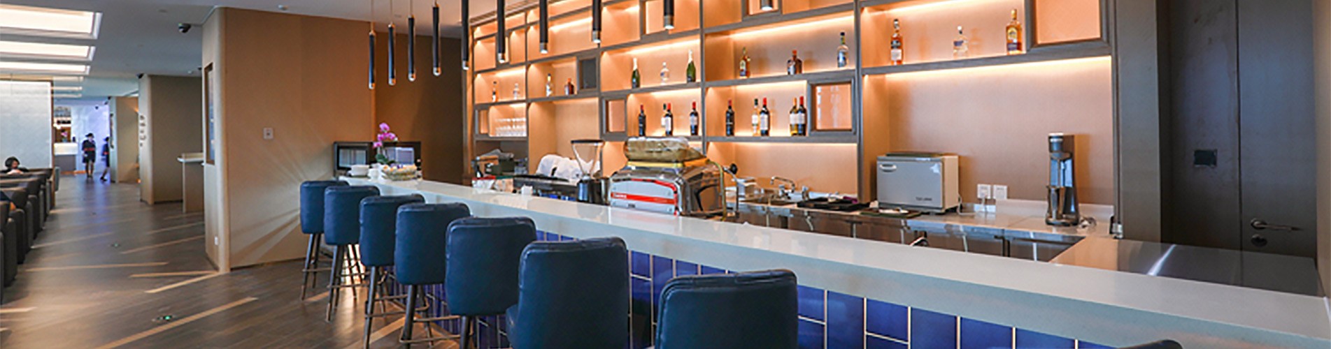 No. 137 VIP Lounge (International Departure, Satellite Terminal 1)