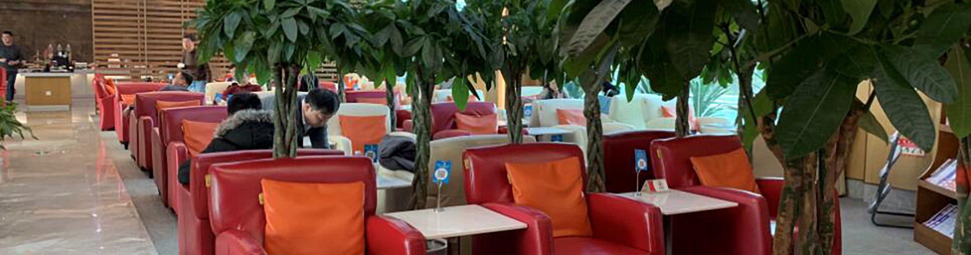 China Southern Elite Plus Lounge (Domestic Departure, Terminal 3)