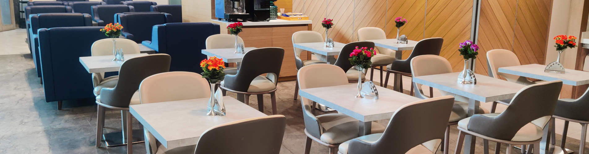 Aviserv Lounge (East) (抵达大厅)